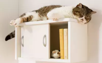 ディノスから“ネコも人も快適に暮らせる家具”が登場！「収納棚としても使えるキャットステップ」が発売