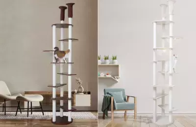 木目が美しい日本製キャットタワー「日本製 宇宙船付き 木製ハイタワー〈CASTLE〉」発売！セミオーダーでカスタマイズも可能