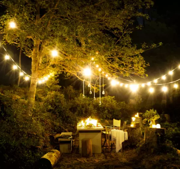 SHIROがホリデーシーズンコレクション第1弾の先行予約をスタート