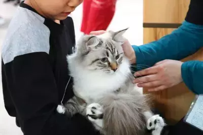 日本最大級のペットイベント「みんな大好き!!ペット王国2023」京セラドーム大阪で開催決定！出展受付も開始