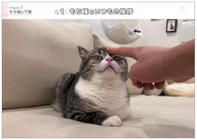 人気猫の「もちまる」をじっくり見てまちがいを見つけよう！大人気YouTube「もちまる日記」まちがい探しの本が7月10日より予約受付開始！