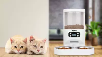 多頭飼いのご家庭に最適のツインペットフィーダー『WAGWAG TATWO』12月12日(火)販売開始