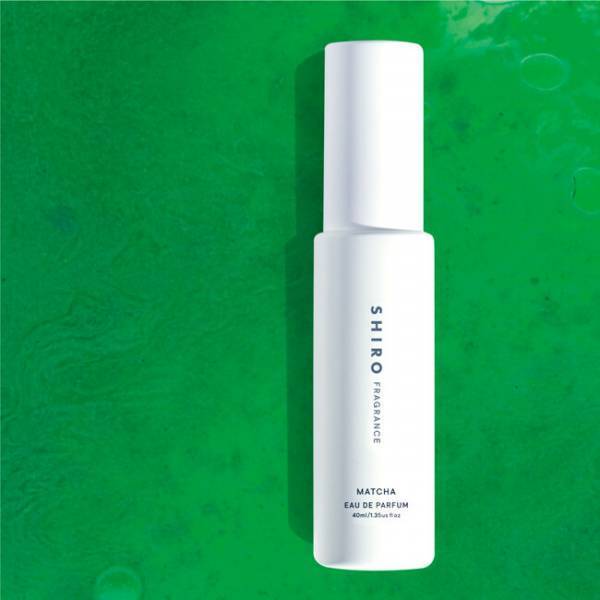 「SHIRO」澄み渡る抹茶の香りが限定発売。今年は頭皮スクラブシャンプー初登場