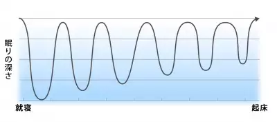 「ぐっすり」だけが眠りじゃない！質の高い睡眠に必要な条件とは？