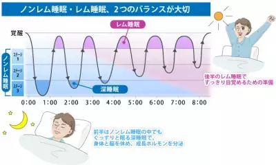 「ぐっすり」だけが眠りじゃない！質の高い睡眠に必要な条件とは？