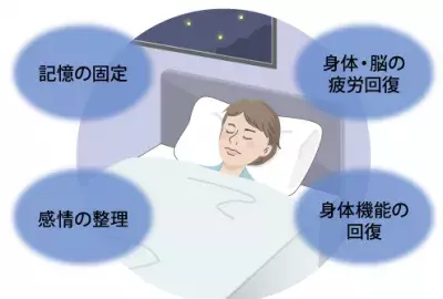 「ぐっすり」だけが眠りじゃない！質の高い睡眠に必要な条件とは？