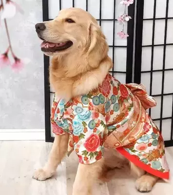 愛犬・愛猫の「着物風ペットウェア」ひなまつり用に新色3色を追加！