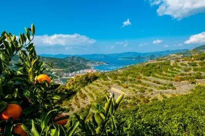 愛媛県八幡浜市移住セミナーを6月17日・7月8日に開催 子育てとテレワーク環境について先輩移住者が語る