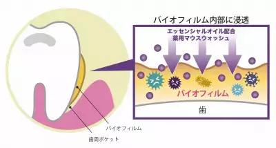 「腸活で美肌作り」に潜む落とし穴！口内の悪玉菌が腸内に侵入して美肌の大敵に…!?