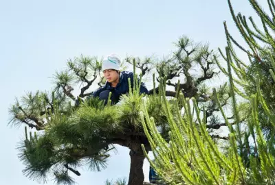 京都・東本願寺「名勝 渉成園」御用庭師が魅力を伝えるイベント1月9日～29日開催