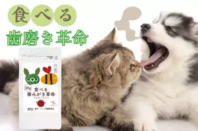 犬・猫の口臭ケアができる無添加サプリが販売総数70,000袋突破！ 8月2日よりアンケート回答者は500円で商品購入が可能