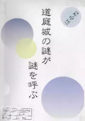 今年の夏の自由研究は「お城」がテーマ！ 第22回小中学生「城の自由研究コンテスト」作品を募集