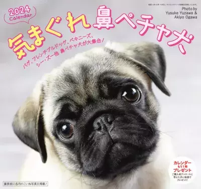 2024年版「鼻ペチャ犬カレンダー」新発売！ 10月初旬より全国の書店・ネットショップで販売開始