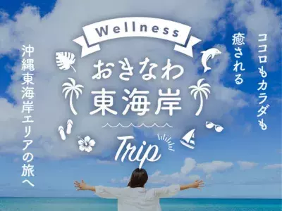 沖縄で温泉ウェルネスワーケーションとキャンピングカーワーケーション「TRY ONSEN WORK in Wellness OKINAWA」募集1月31日まで