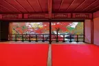 紅葉イベントを京都「柳谷観音」にて11/11(土)～12/3(日)開催！ SNSで人気の“花手水”発祥の地