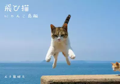 郵政博物館で開催中の「飛び猫写真展」が 2月24日(金)時点で来場者数10,000人を突破！