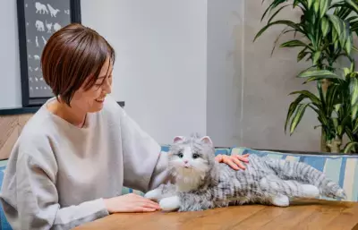 見た目も動きも鳴き声も本物そっくりな「ねこ型ペットロボット」 新色アイスグレー 2023年1月11日(水)発売