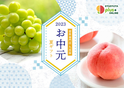 青果専門店が運営するオンラインショッピングサイト 九州屋plus+にて「お中元ギフト」を2023年5月中旬より販売予定