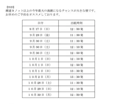 最大約30mの「秋の大潮」シーズン！「淡路島うずしおクルーズ」で世界一の自然現象を体験