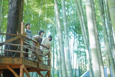【動物園×グランピング】THE BAMBOO FORESTが25歳以下にお得な「U25・学割プラン」を予約受付中