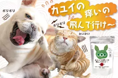 犬・猫のアレルギー、痒み、湿疹のお悩みをサポート！ 粉末タイプの無添加サプリ「カユイの痒いの飛んで行け」を販売