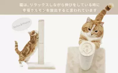 猫が心地よく使えるタテ型タイプのつめとぎ 「バリバリつめとぎポール 麻」を9月より販売