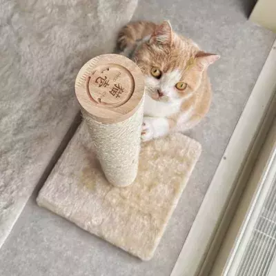 猫が心地よく使えるタテ型タイプのつめとぎ 「バリバリつめとぎポール 麻」を9月より販売