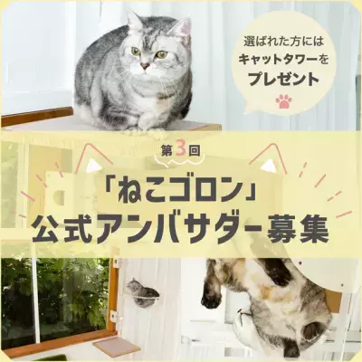 窓枠に付けるキャットタワー！Instagramにて『ねこゴロン』 第3回公式アンバサダーを5月8日から5月21日まで募集