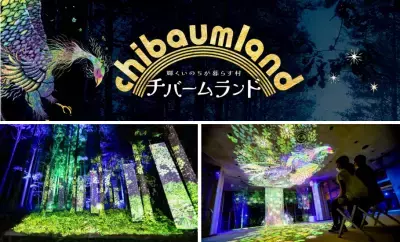 光の切り絵と音楽の幻想空間「チバームランド 光の切り絵 ナイトウォーク」開催中！自由研究におすすめのワークショップも