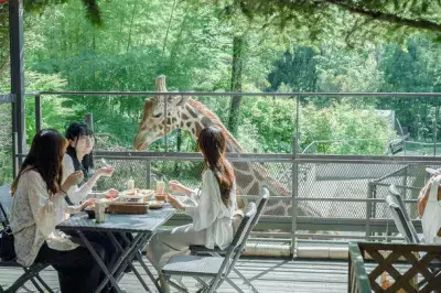 ［予約先着特典あり］ 動物園×グランピングのTHE BAMBOO FORESTが 18歳～25歳にお得な「U25・学割プラン」予約受付中