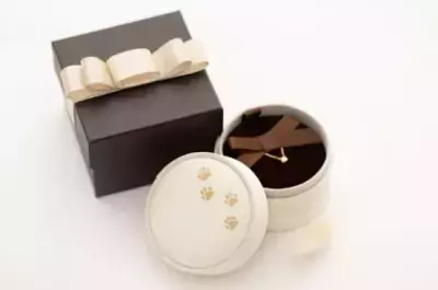 【オレフィーチェ】猫の日に特設チャリティーサイトを公開！動物好きにはたまらない「肉球ジュエリーBOX」の発売も