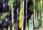 リスンの2024年新作インセンスシリーズ 「BREATHING TREES」の全4種が楽しめるアソートメントと 木材で作られた限定プロダクトが7月11日(木)発売
