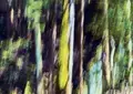 リスンの2024年新作インセンスシリーズ 「BREATHING TREES」の全4種が楽しめるアソートメントと 木材で作られた限定プロダクトが7月11日(木)発売