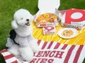 愛犬と一緒に楽しめるコミフデリ×PIZZA-LAのコラボ商品！ 取り扱い店舗を全国のピザーラ店舗に拡大し2024年9月9日より販売開始