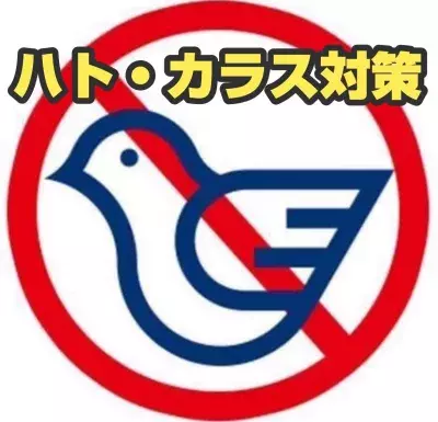 ＜ハト・カラス被害の皆様へ朗報＞ 鳩対策成功率100％のプロテクトが「害鳥忌避剤のモニター」を 2024年11月21日(木)より募集開始