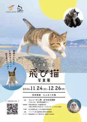 「五十嵐健太　飛び猫写真展　同時開催　もふあつめ展」 フェニーチェ堺で開幕！