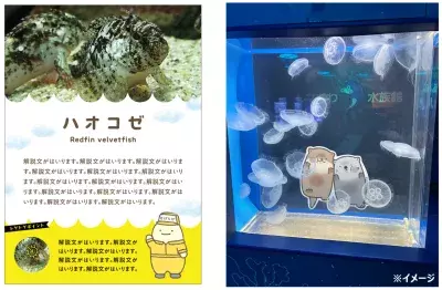 しながわ水族館×よこみぞゆり「なんでもいきもの」　 夏の特別展が7月20日から開催　 生き物たちの可愛い姿の裏に隠された“トゲ”を発見！