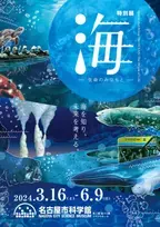特別展「海―生命のみなもと―」の名古屋展が 2024年3月16日(土)より名古屋市科学館で開催