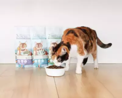 80万食突破の大人気機能性ペットフード 「REAL POWER」のECサイトがオープン！ ～スッポン肉使用のドッグフードプレゼント企画も同時開催～