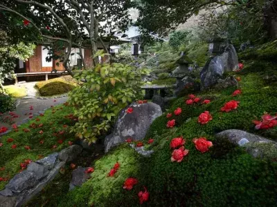 通常非公開の尼門跡寺院 京都・霊鑑寺～椿が咲き誇る庭園や書院を特別公開～