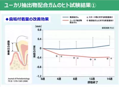 歯に食べ物が詰まるのは歯周病が原因かも!? 歯と口の健康メディアセミナーを取材！