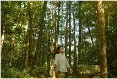 星のやグーグァン「森の清潤（セイジュン）滞在」を提供開始