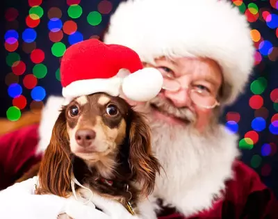 【参加無料！】2024年12月20日(金) 那須高原のサンタ村にフィンランドの森から 本物のサンタクロースが ワンちゃんにプレゼントを持ってやってくる！