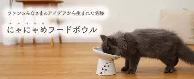 産みの親は猫ちゃんとお客様！ 15度の傾斜でフードが手前に集まり食べやすい 脚付「にゃにゃめ」フードボウルが新発売