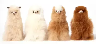 日本初上陸！幸せを運ぶ“アルパカ”の 天然毛ぬいぐるみ「INJOI」をバレンタインギフトに！ 2月10日(土)より有楽町マルイにて期間限定販売