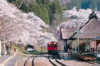 福島県下郷町の春のおすすめ撮影スポットを公開！撮影観光ポータルサイト「フォトナビ下郷」