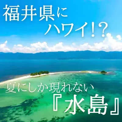 福井県の無人島「水島」へのフェリー運航が7月13日開始！ 7～8月しか渡ることのできない“海の楽園・北陸のハワイ”