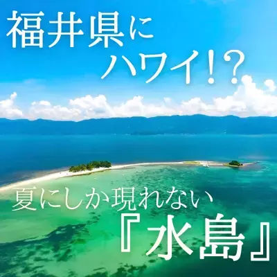 福井県の無人島「水島」へのフェリー運航が7月13日開始！ 7～8月しか渡ることのできない“海の楽園・北陸のハワイ”