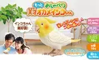 手のひらサイズのとっても賢いインコ型ロボット「もっとおしゃべり天才オカメインコちゃん」 インコの日・6月15日に新発売！ 毎日楽しくおしゃべり！ 脳トレやお歌♪お部屋の温度・湿度に応じておしゃべりが変わる！