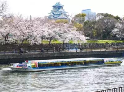 「大阪城お花見クルーズ」2025年2月1日（土）より一般予約受付開始！大川沿いに咲き誇る桜並木や大阪城の景色を堪能